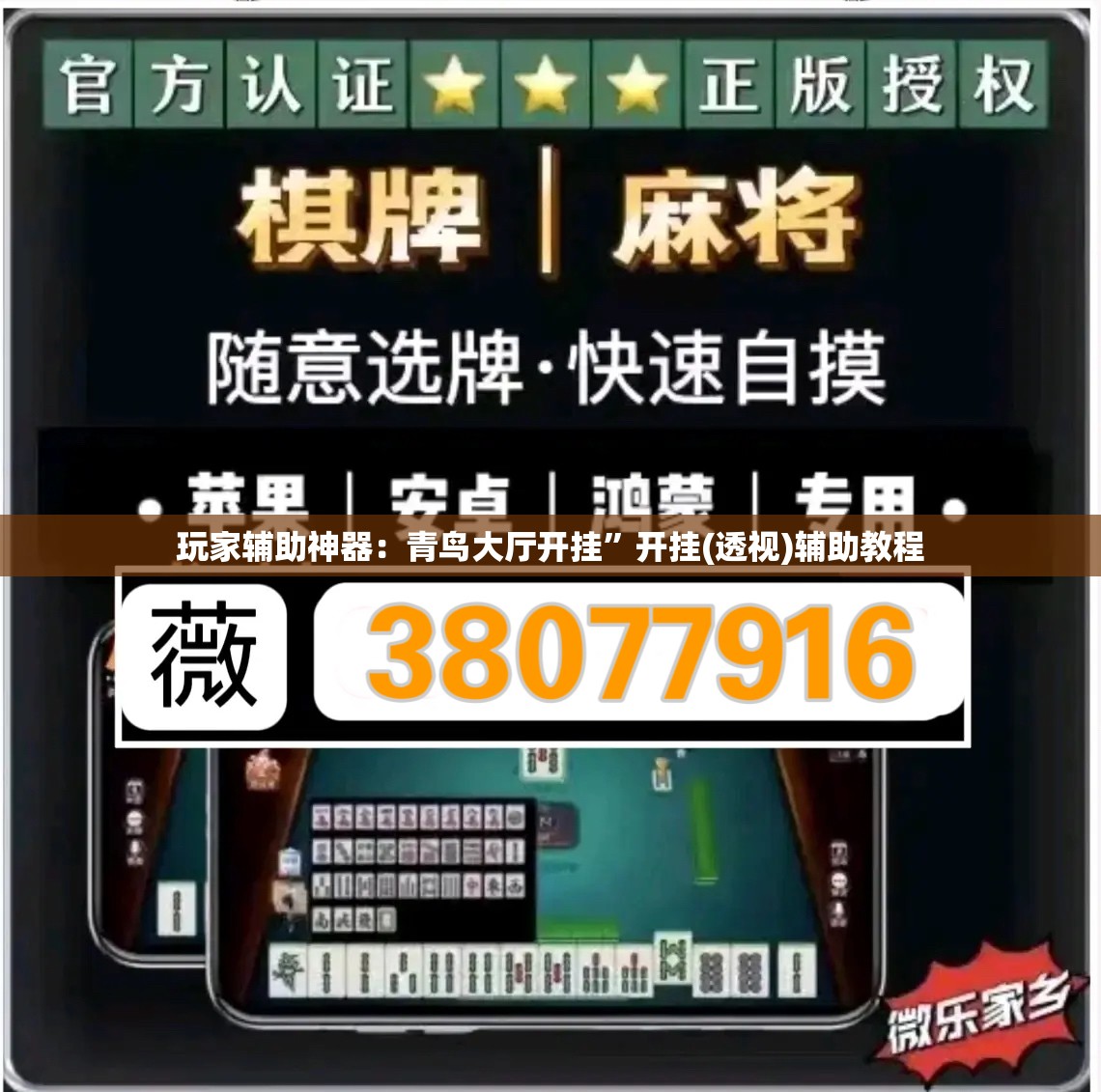 玩家辅助神器：青鸟大厅开挂”开挂(透视)辅助教程