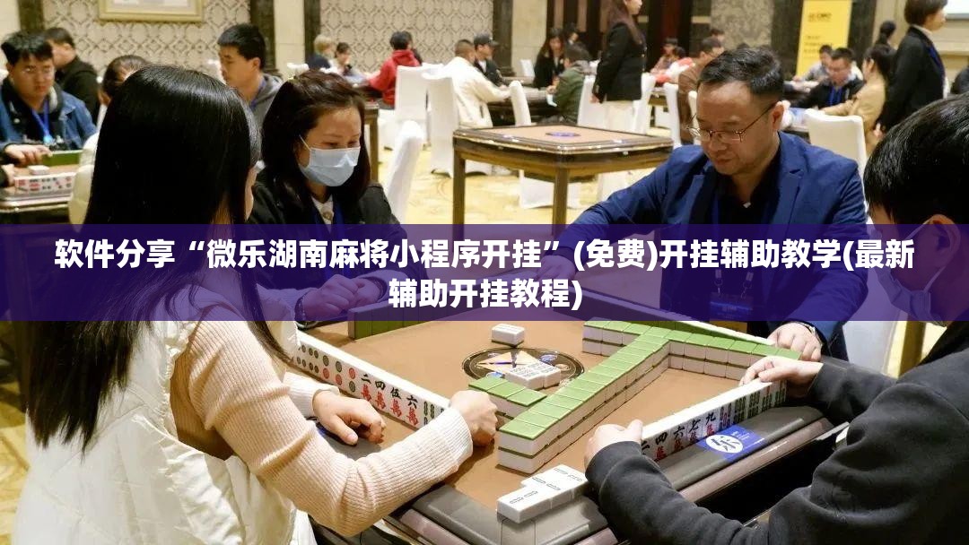 软件分享“微乐湖南麻将小程序开挂	”(免费)开挂辅助教学(最新辅助开挂教程)