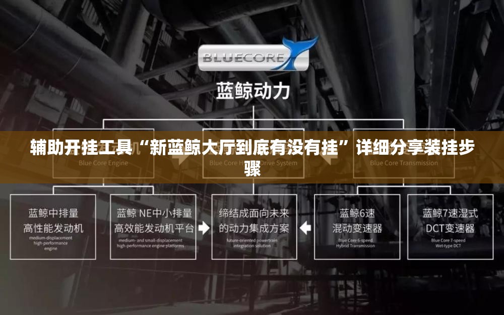 辅助开挂工具“新蓝鲸大厅到底有没有挂”详细分享装挂步骤