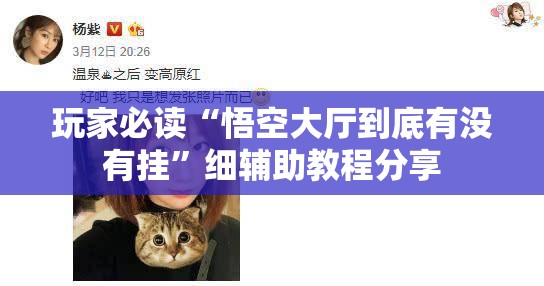 玩家必读“悟空大厅到底有没有挂	”细辅助教程分享