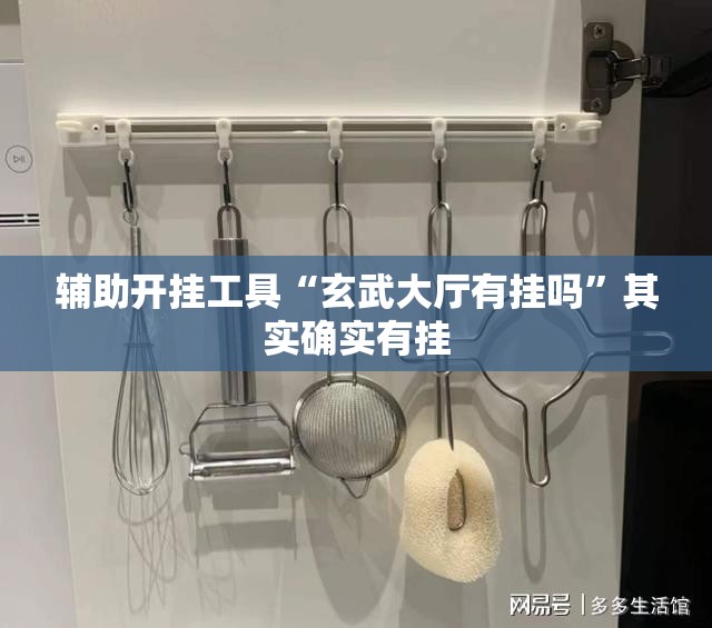 辅助开挂工具“玄武大厅有挂吗	”其实确实有挂