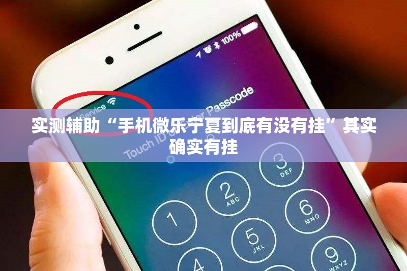 实测辅助“手机微乐宁夏到底有没有挂”其实确实有挂