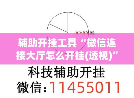 辅助开挂工具“微信连接大厅怎么开挂(透视)”开挂辅助脚本+详细开挂安装教程