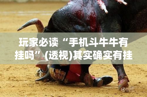 玩家必读“手机斗牛牛有挂吗”(透视)其实确实有挂