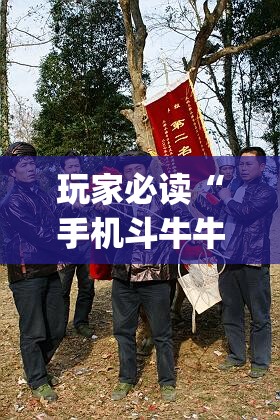 玩家必读“手机斗牛牛有挂吗”(透视)其实确实有挂