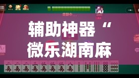 辅助神器“微乐湖南麻将小程序必赢神器免费”其实确实有挂