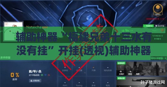 辅助神器“福建兄弟十三水有没有挂”开挂(透视)辅助神器