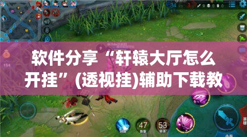 软件分享“轩辕大厅怎么开挂”(透视挂)辅助下载教程