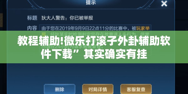 教程辅助!微乐打滚子外卦辅助软件下载	”其实确实有挂