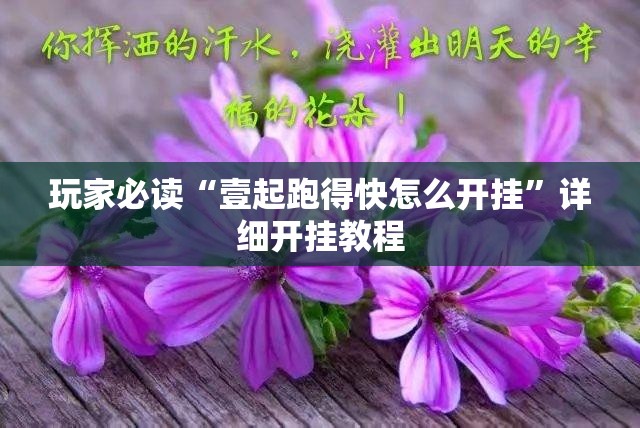 玩家必读“壹起跑得快怎么开挂”详细开挂教程