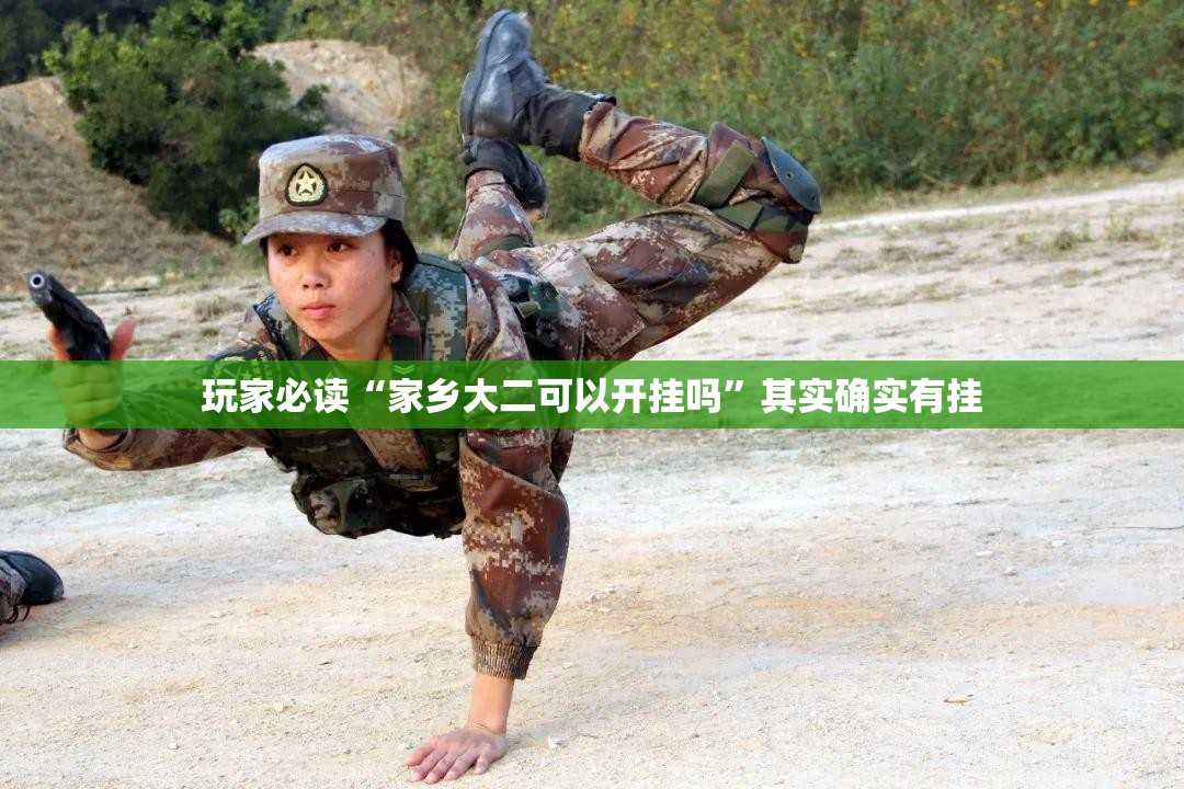 玩家必读“家乡大二可以开挂吗”其实确实有挂