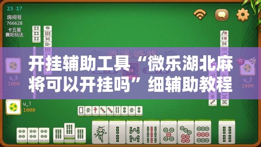 开挂辅助工具“微乐湖北麻将可以开挂吗”细辅助教程分享