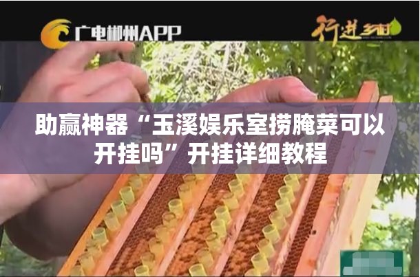 助赢神器“玉溪娱乐室捞腌菜可以开挂吗	”开挂详细教程