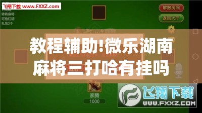 教程辅助!微乐湖南麻将三打哈有挂吗”(免费)开挂辅助教学(最新辅助开挂教程)