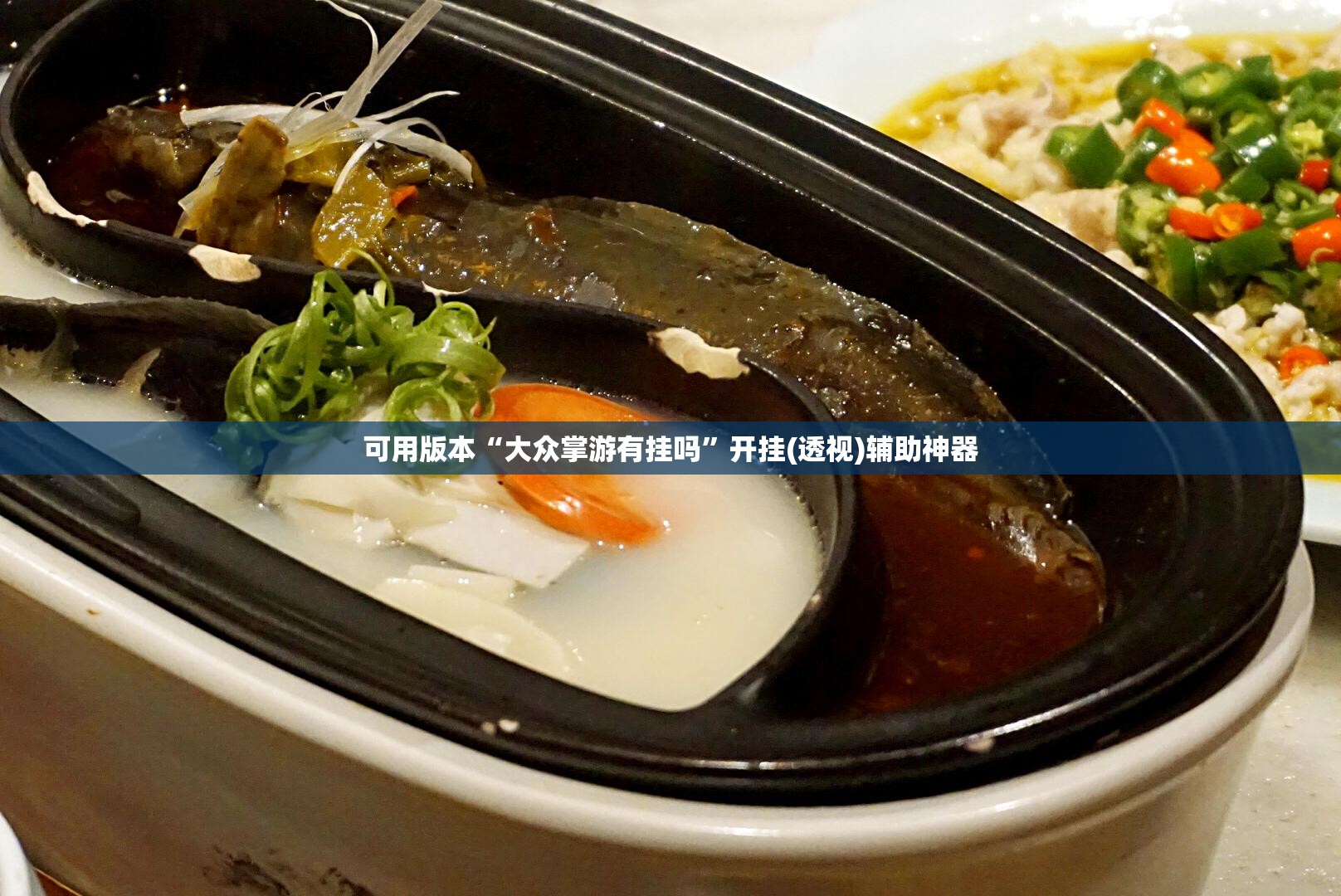 可用版本“大众掌游有挂吗”开挂(透视)辅助神器