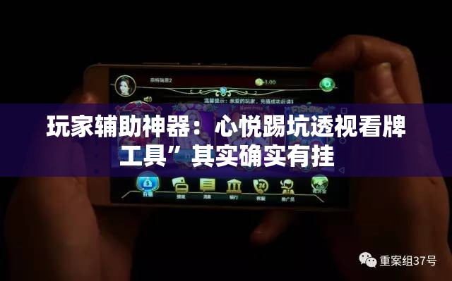 玩家辅助神器：心悦踢坑透视看牌工具	”其实确实有挂