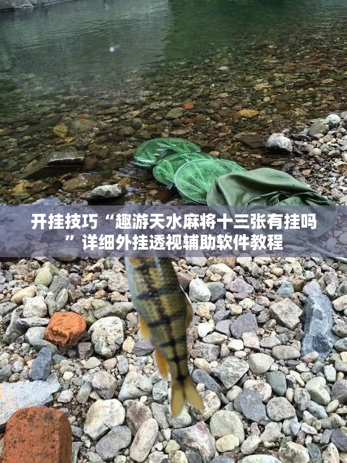 开挂技巧“趣游天水麻将十三张有挂吗	”详细外挂透视辅助软件教程