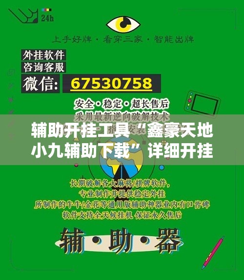 辅助开挂工具“鑫豪天地小九辅助下载”详细开挂教程