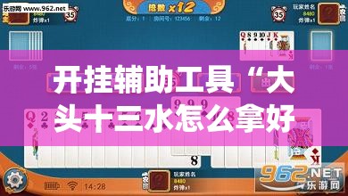开挂辅助工具“大头十三水怎么拿好牌”开挂(透视)辅助神器
