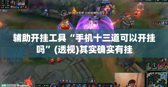 辅助开挂工具“手机十三道可以开挂吗”(透视)其实确实有挂