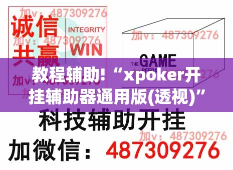 教程辅助!“xpoker开挂辅助器通用版(透视)”开挂辅助脚本+详细开挂安装教程