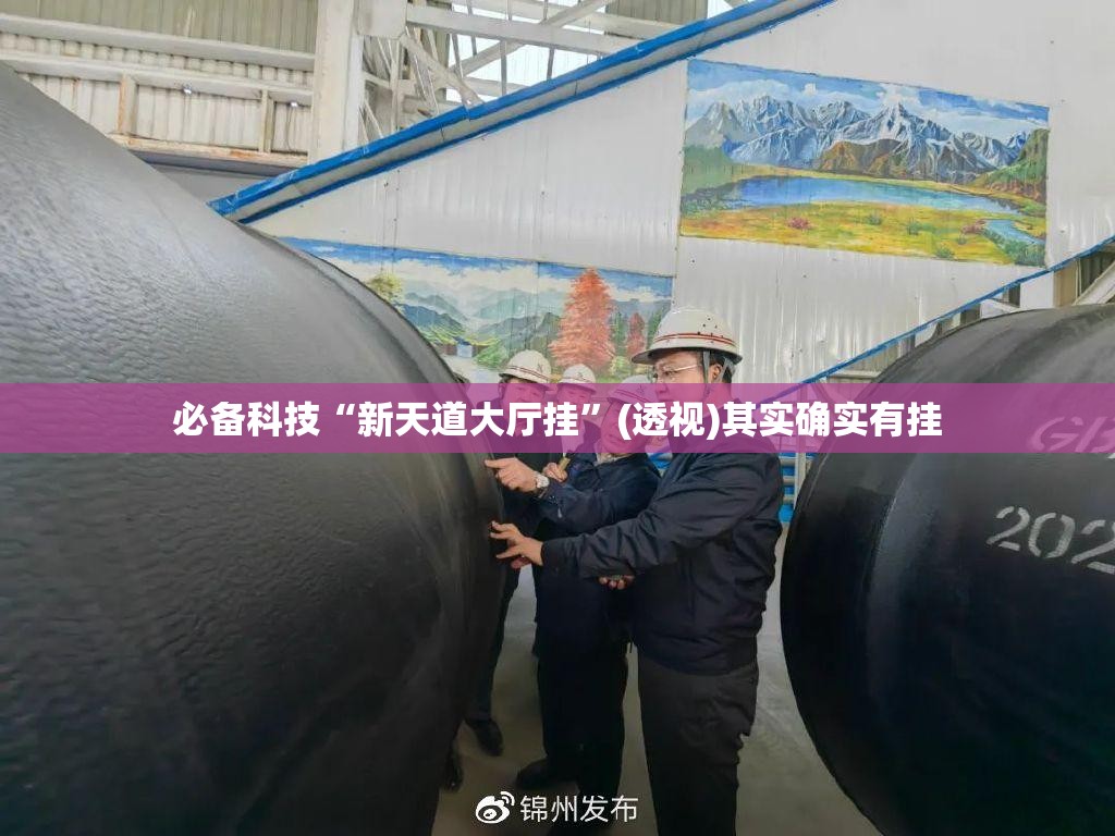 必备科技“新天道大厅挂	”(透视)其实确实有挂