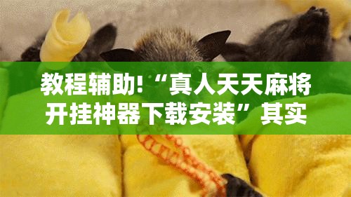 教程辅助!“真人天天麻将开挂神器下载安装	”其实确实有挂