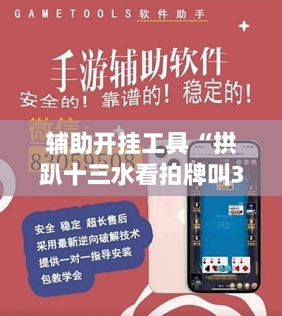 辅助开挂工具“拱趴十三水看拍牌叫3倍”(透视挂)辅助下载教程