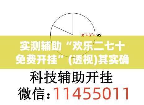 实测辅助“欢乐二七十免费开挂”(透视)其实确实有挂