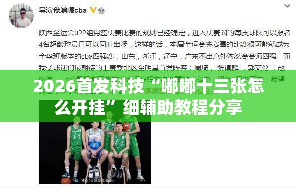 2026首发科技“嘟嘟十三张怎么开挂”细辅助教程分享