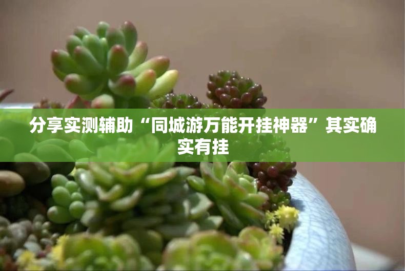 分享实测辅助“同城游万能开挂神器”其实确实有挂