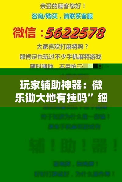 玩家辅助神器：微乐锄大地有挂吗”细辅助教程分享