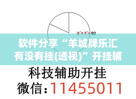 软件分享“羊城牌乐汇有没有挂(透视)”开挂辅助脚本+详细开挂安装教程