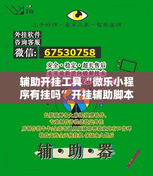 辅助开挂工具“微乐小程序有挂吗”开挂辅助脚本+详细开挂安装教程