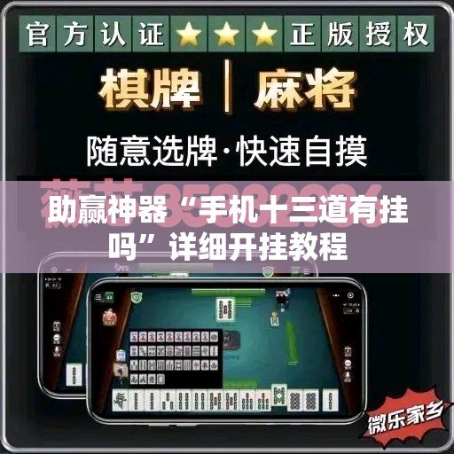 助赢神器“手机十三道有挂吗”详细开挂教程