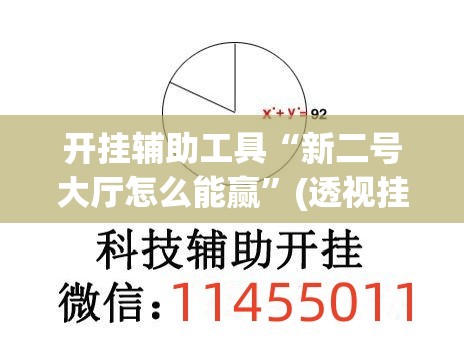 开挂辅助工具“新二号大厅怎么能赢”(透视挂)辅助下载教程