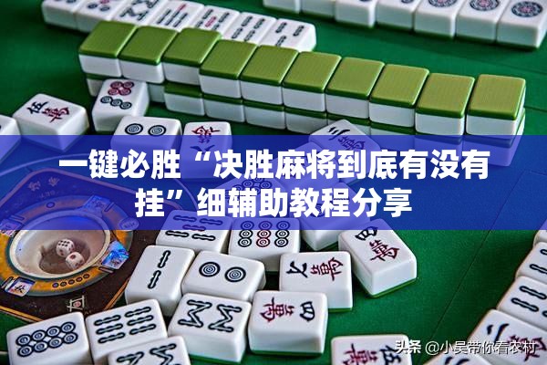 一键必胜“决胜麻将到底有没有挂”细辅助教程分享