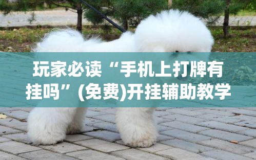 玩家必读“手机上打牌有挂吗	”(免费)开挂辅助教学(最新辅助开挂教程)