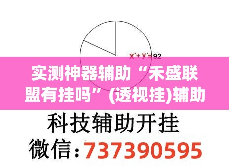 实测神器辅助“禾盛联盟有挂吗”(透视挂)辅助下载教程