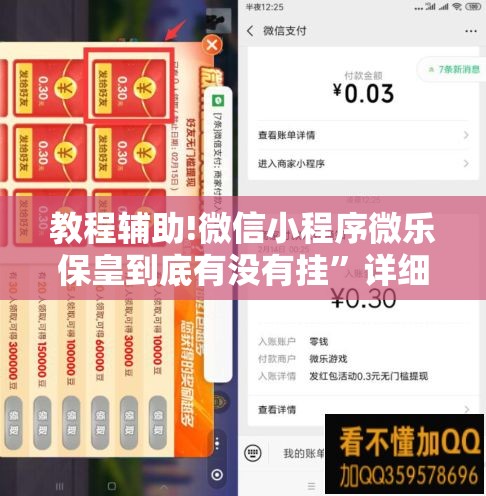 教程辅助!微信小程序微乐保皇到底有没有挂	”详细分享装挂步骤