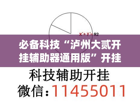 必备科技“泸州大贰开挂辅助器通用版”开挂(透视)辅助教程