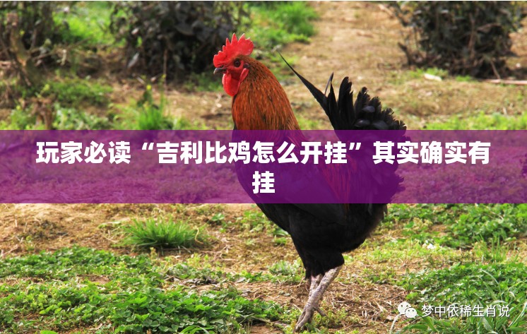 玩家必读“吉利比鸡怎么开挂”其实确实有挂
