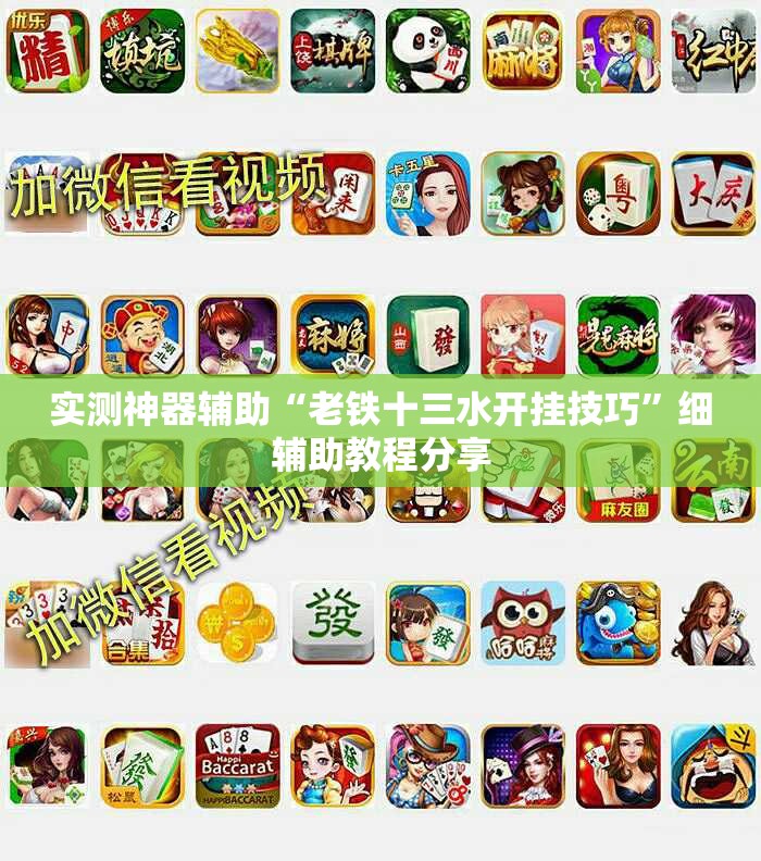 实测神器辅助“老铁十三水开挂技巧”细辅助教程分享