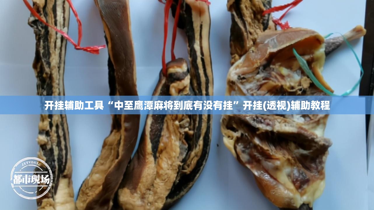 开挂辅助工具“中至鹰潭麻将到底有没有挂	”开挂(透视)辅助教程