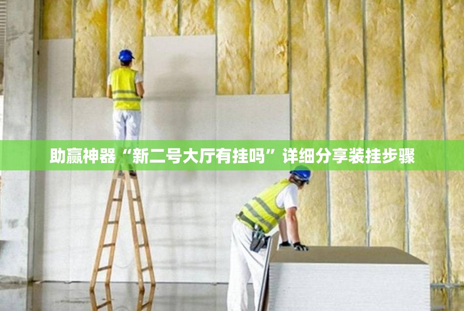 助赢神器“新二号大厅有挂吗”详细分享装挂步骤