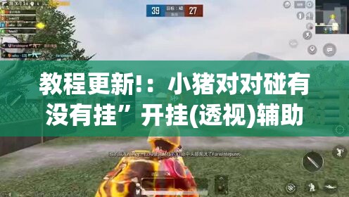 教程更新!：小猪对对碰有没有挂”开挂(透视)辅助教程