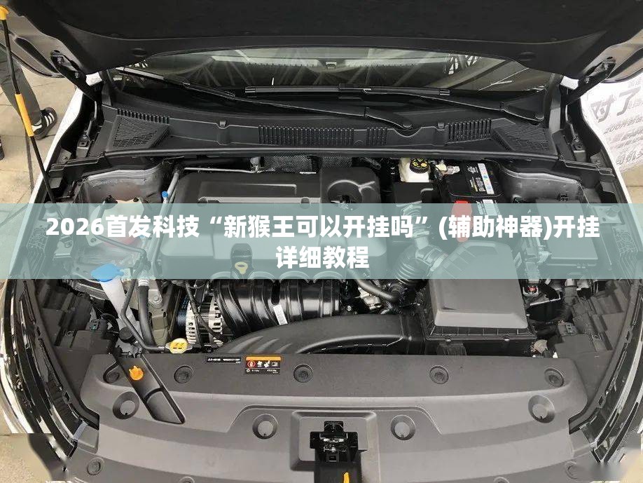 2026首发科技“新猴王可以开挂吗”(辅助神器)开挂详细教程