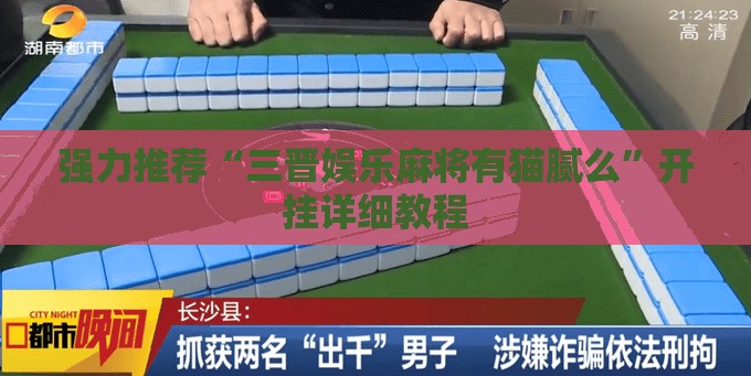 强力推荐“三晋娱乐麻将有猫腻么”开挂详细教程