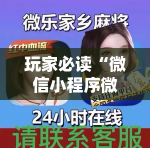 玩家必读“微信小程序微乐甘肃麻将到底有没有挂”详细外挂透视辅助软件教程