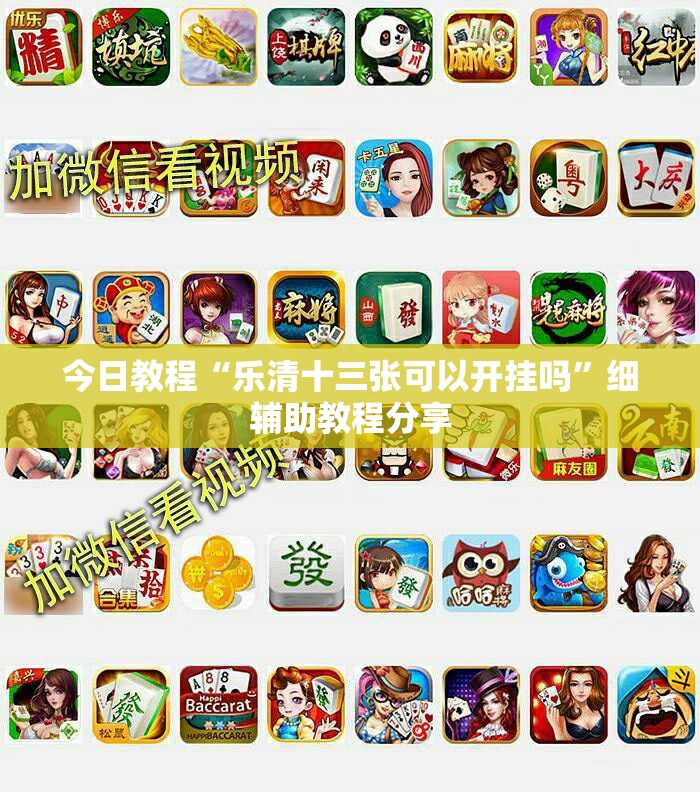 今日教程“乐清十三张可以开挂吗”细辅助教程分享